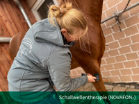 Schallwellentherapie (NOVAFON)